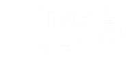 Higg Index